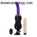 Zodiac Sign & Sex Toy Guide: Find Your Perfect Match