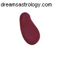 Zodiac Sign & Sex Toy Guide: Find Your Perfect Match