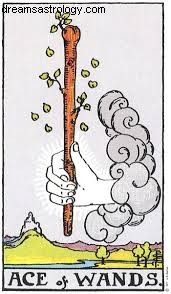 Unlock Hidden Insights: The Power of Single Card Tarot Readings