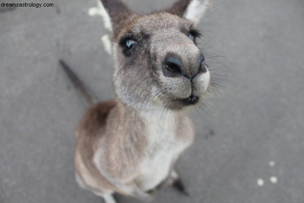 Australian Politics: Analyzing the Liberal Party s Trajectory - April/May 2018