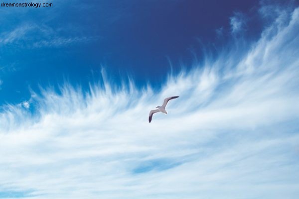 2018 Horoscope: Understanding Karma for Air Signs (Gemini, Libra, Aquarius)