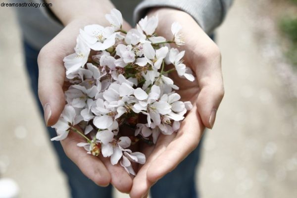Lunar New Year Energy Clearing: Declutter for a Fresh Start