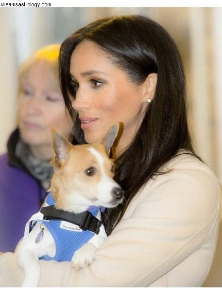 Archie Mountbatten-Windsor s Birth Chart: A Royal Astrological Analysis