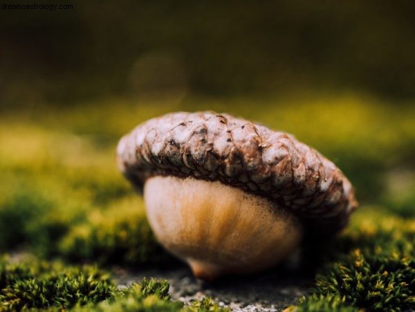 Jupiter in September-November 2019: Harnessing Growth & Opportunity