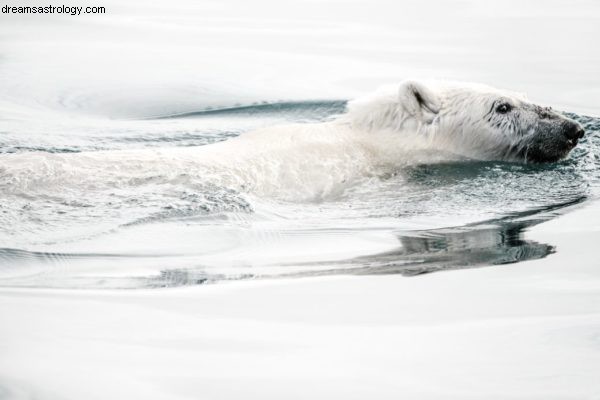 Climate Action Break: A Message from Fridays for Future