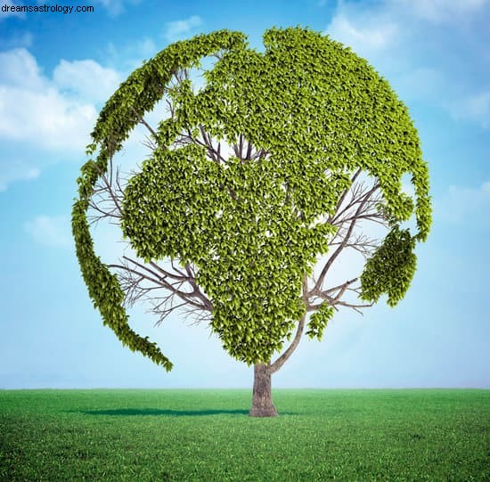 Climate Action Break: A Message from Fridays for Future