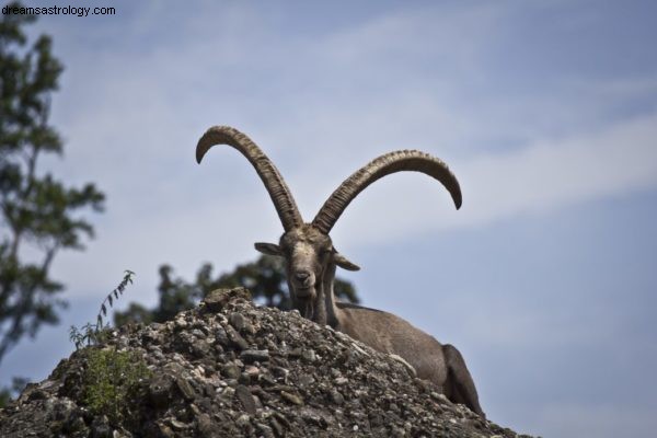 Jupiter in Capricorn: Impact on Cancer Sun & Moon