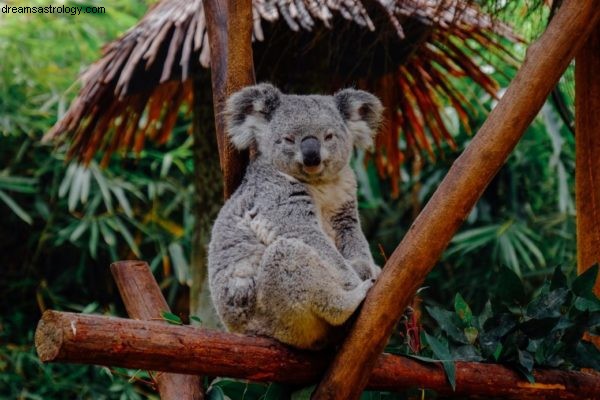 Australia Bushfires 2020: Astrological Insights & Potential Impacts