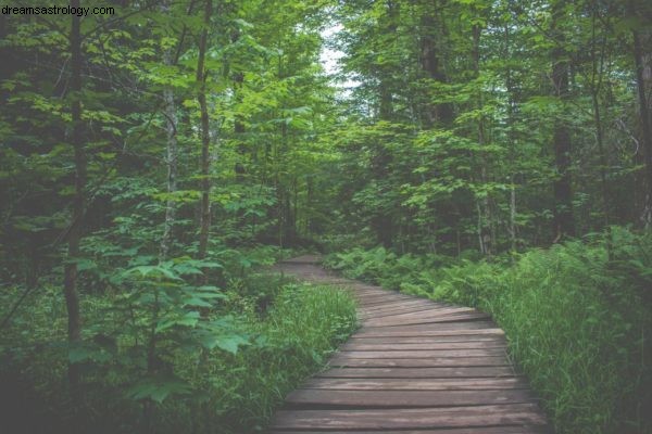 Strengthening Immunity: Holistic Approaches During Uncertain Times