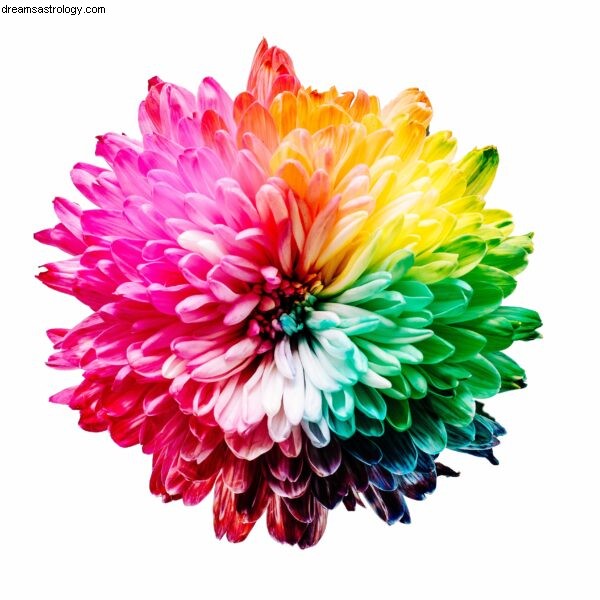 Finding a Reputable Medium: What to Look For