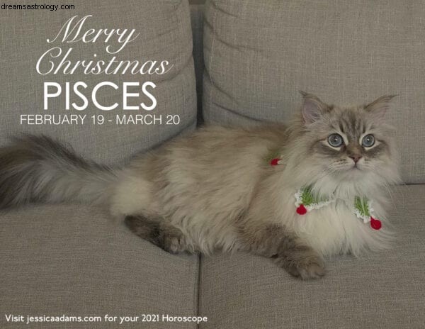 Unique Animal Astrology Christmas eCards - Eco-Friendly Greetings