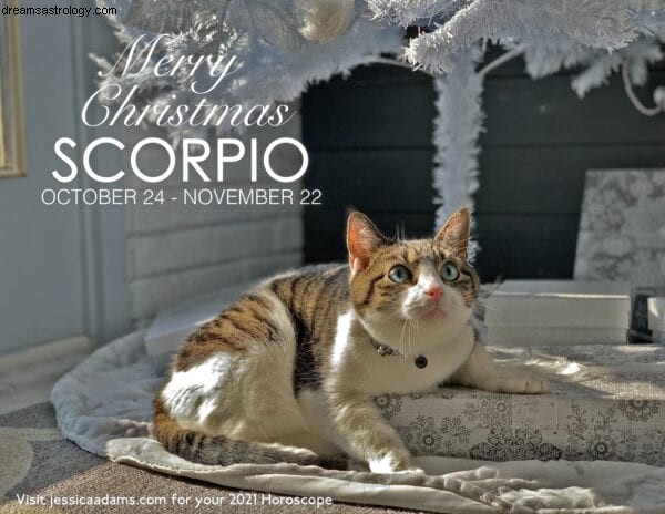 Unique Animal Astrology Christmas eCards - Eco-Friendly Greetings