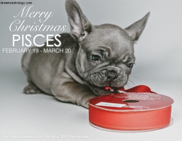 Unique Animal Astrology Christmas eCards - Eco-Friendly Greetings
