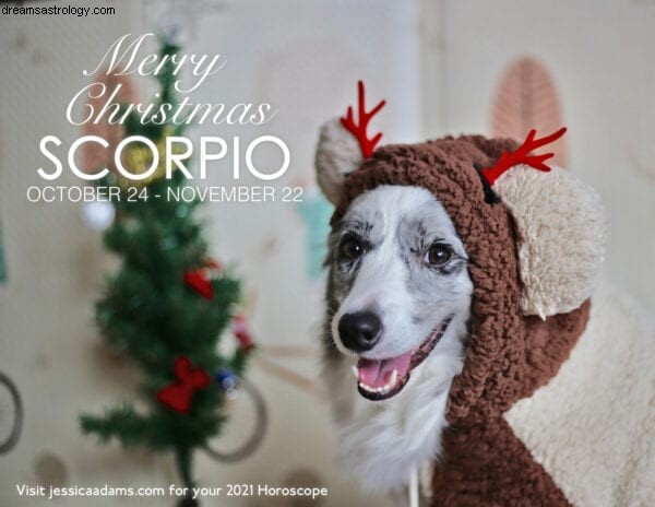 Unique Animal Astrology Christmas eCards - Eco-Friendly Greetings