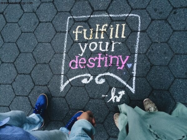 Astrology 101: Understanding Your Destiny and Free Will