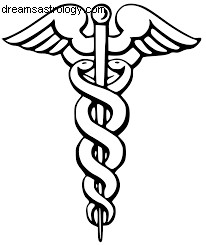 Virgo in the Sixth House: Health, Work & Well-being in Astrology