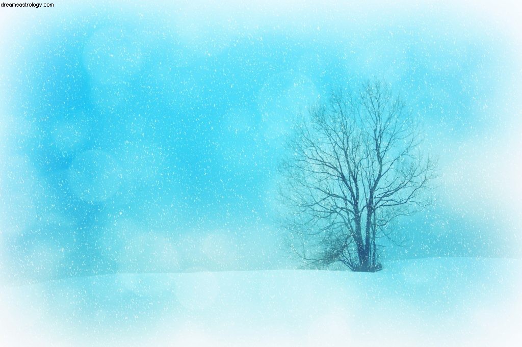 Aquarius Horoscope December 2017: Navigating Conflict & Travel