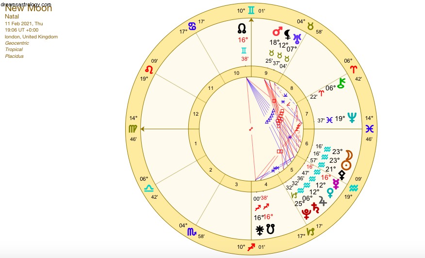 Aquarius New Moon (Feb 11, 2021): New Beginnings & Connection
