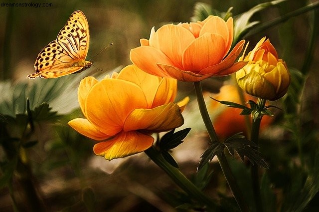 Aquarius Horoscope: March 2022 - Financial Opportunities & New Beginnings