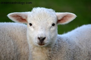Aries Horoscope - April 2015: Financial Focus & Mars  Influence