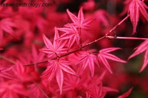 Aries Horoscope October 2014: Navigating Eclipses & Mercury Retrograde