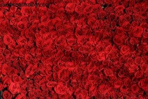 Aries Horoscope - August 2016: Mars in Sagittarius