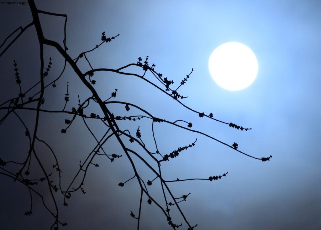 Full Moon in Aries: Emotional Release & Renewal (October 5, 2017)