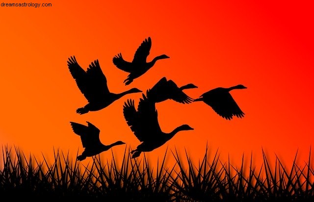 Aries Horoscope: March 2020 - Mercury Retrograde & Key Dates
