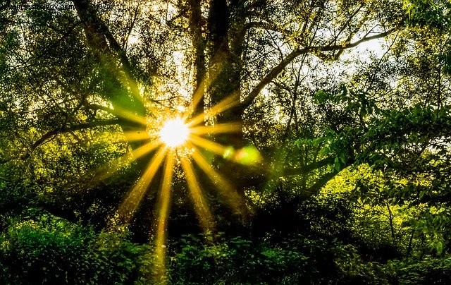 Astrology Forecast: March 20 - April 19, 2021 - Sun in Aries & Equinox