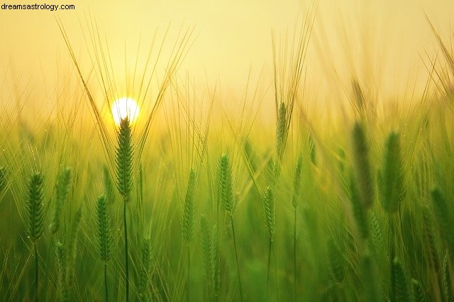 Spring Equinox 2022: Meaning, Traditions & Astrological Insights