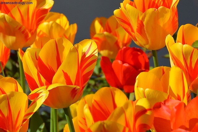Aries Horoscope: March 2022 - New Beginnings & Energy