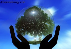 Capricorn 2015 Horoscope: Predictions & Outlook