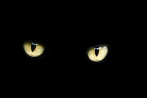 Friday the 13th: Unlucky Superstition or Statistical Anomaly?