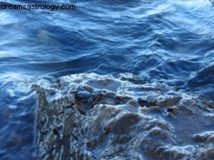 Cancer Horoscope - June 2016: Navigating Inner Reflection & Growth