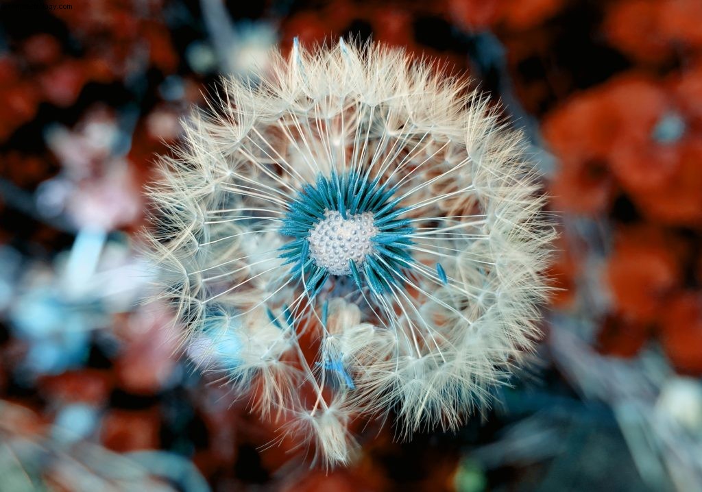 Cancer Horoscope - October 2018: Family & Home Focus