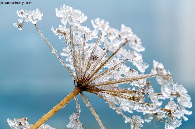 Cancer Horoscope: Mercury Retrograde & Relationships (November 2019)