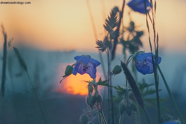 Cancer Horoscope July 2020: Sun & Mercury s Influence