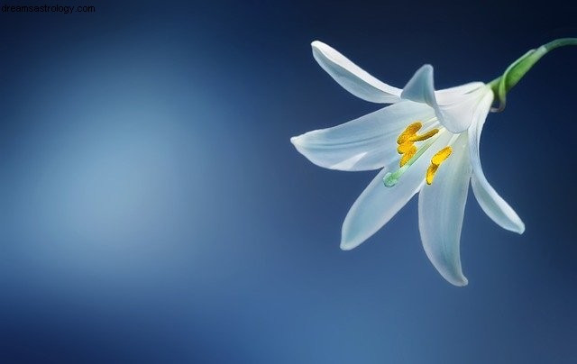 Cancer Horoscope July 2021: Energy, Confidence & Communication