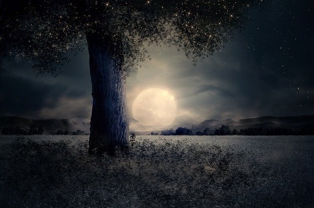 Scorpio Season in November 2021: Love, Creativity & Planetary Influences