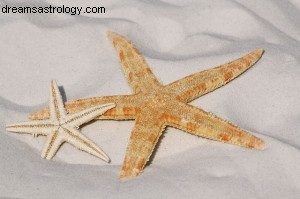Capricorn Horoscope: July 2014 - Decisions & Progress