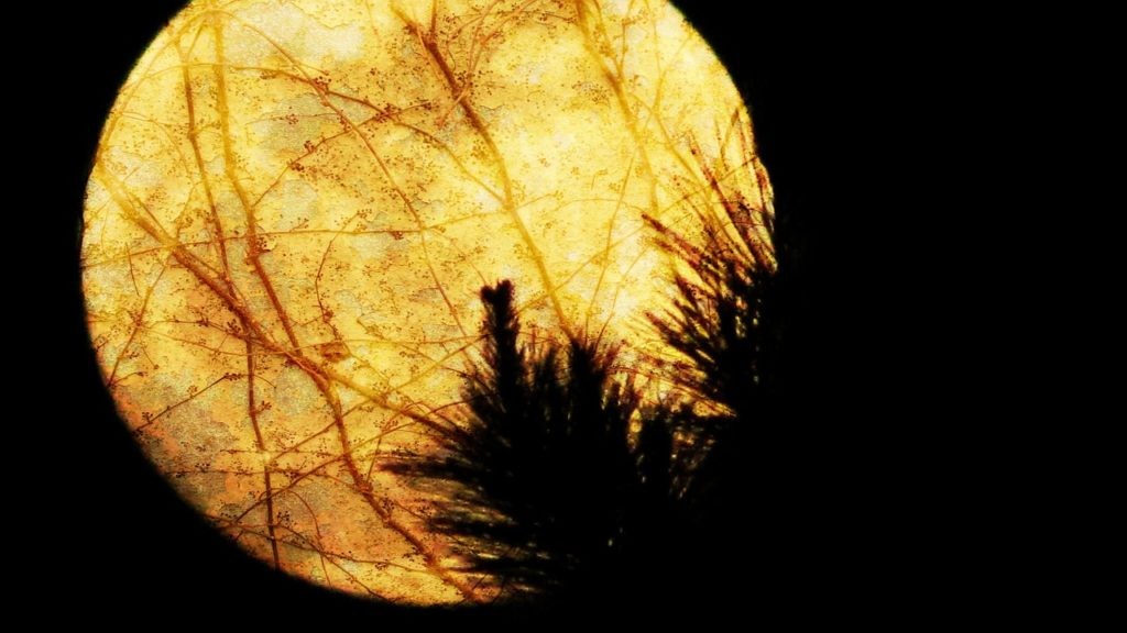 Capricorn Horoscope August 2017: Life Foundations & Key Decisions