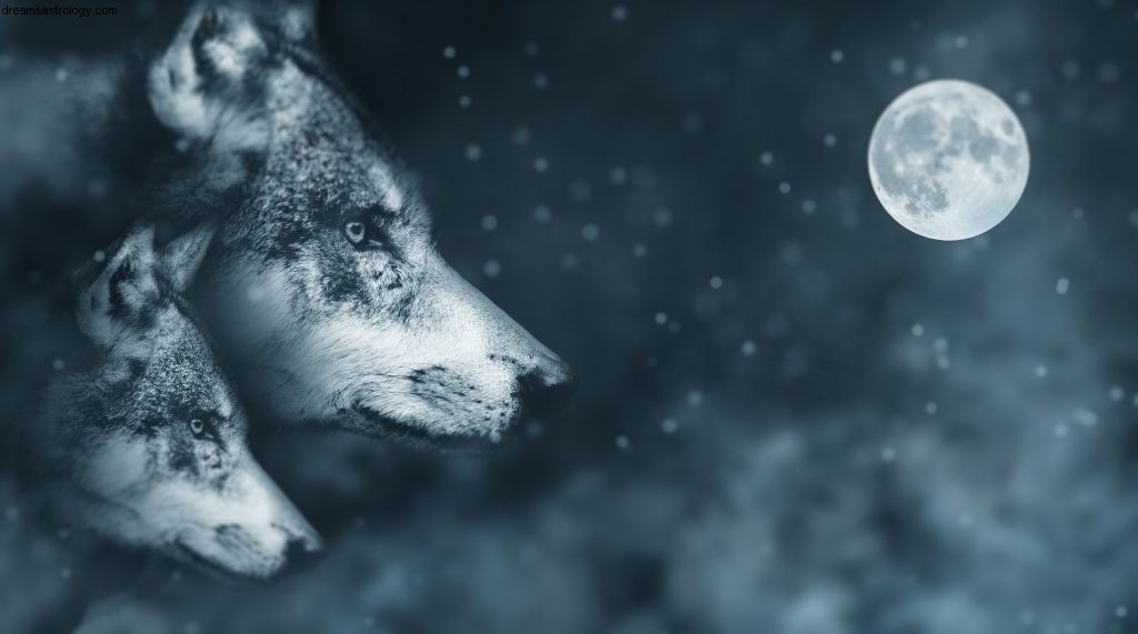 Capricorn June 2019 Horoscope: Focus on Productivity and Goals