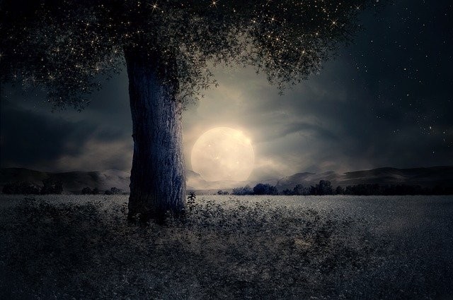 Capricorn June 2020 Horoscope: Lunar Eclipse & Career Insights