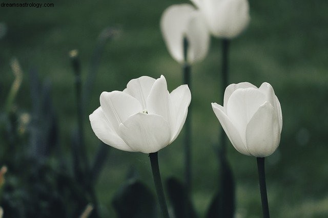 Capricorn Horoscope for April 2021: Home, Family & Relationships