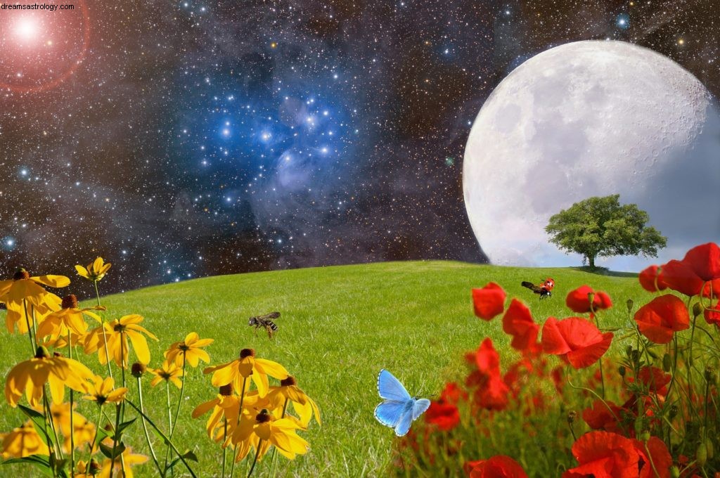Full Moon in Taurus: Understanding Security & Abundance (November 4, 2017)