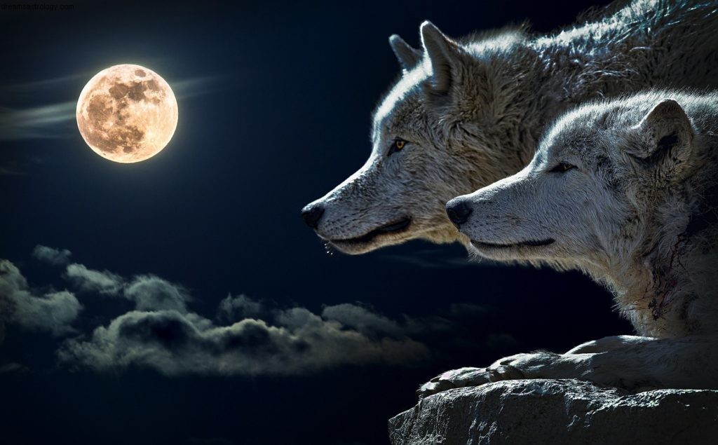 Full Moon in Capricorn: Navigating Past & Future - July 9, 2017