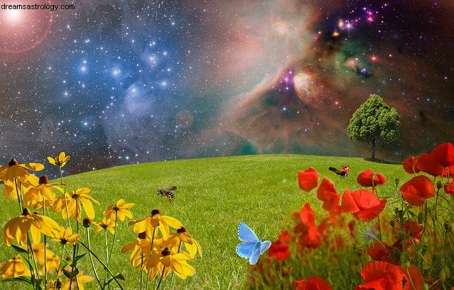 Full Moon in Leo: Embrace Joy, Pleasure & Self-Expression