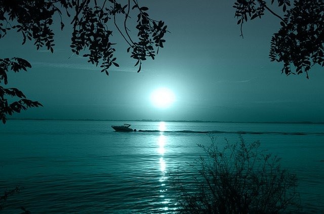 Full Moon in Virgo: Balancing Productivity & Creativity (Feb 27, 2021)