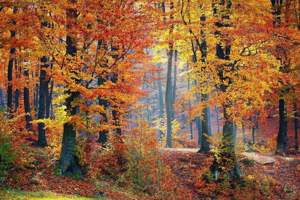 Gemini Horoscope November 2016: Focus on Routine & Well-being