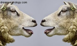 Gemini New Moon: Communication & Negotiation - Weekly Astrology Forecast